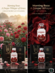 MORNING ROSE BY THE GRAB BRANDS