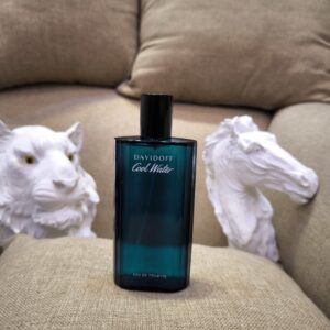 DAVIDOFF Cool Water Parfum